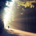 Overcoming Depression: A Guide to Improving Mental Health